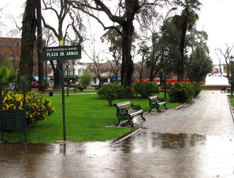 oficina de buses setter cauquenes